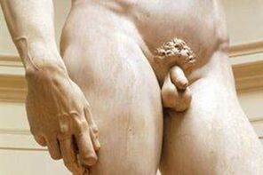 kleiner Penis